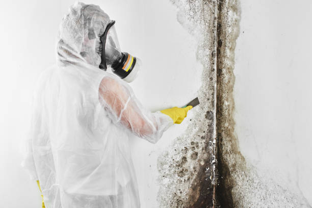 Best Crawl Space Mold Removal  in El Granada, CA
