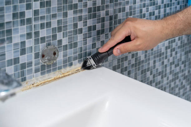 Best Attic Mold Removal  in El Granada, CA