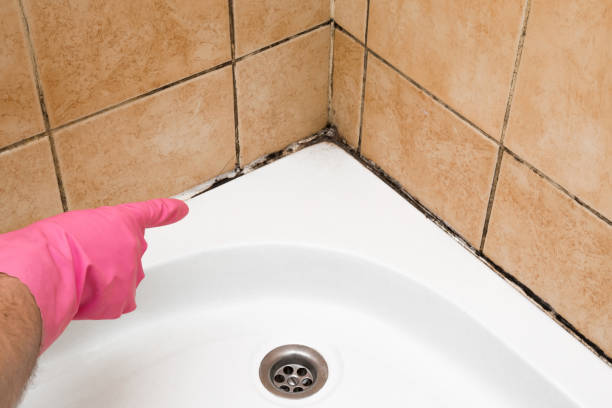 Best Commercial Mold Removal  in El Granada, CA